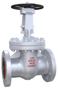 Gate Valve 300