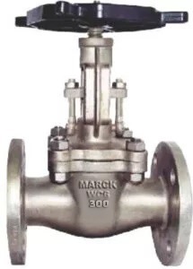 Globe-valve-300